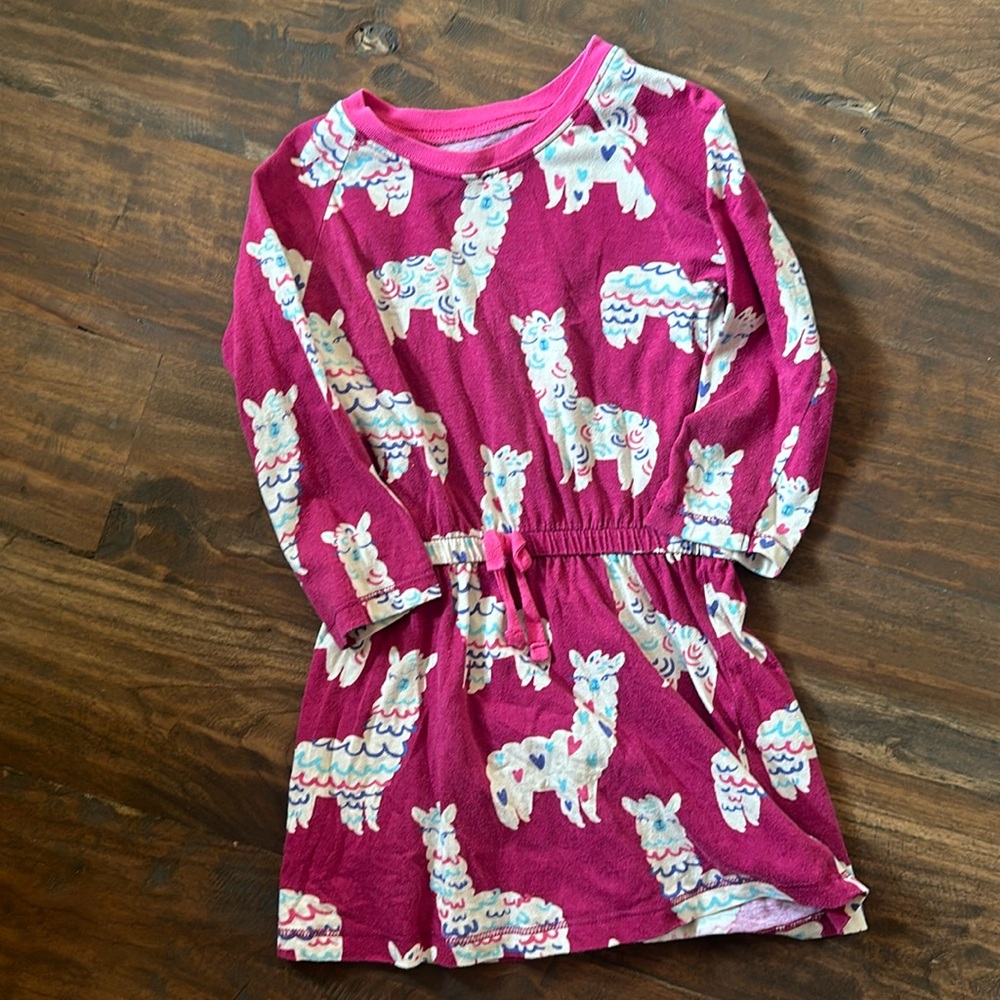 Good condition super cute llama dress!